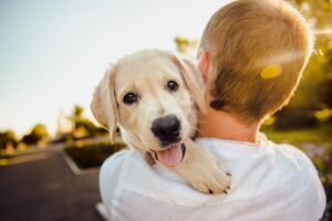 How Do You Treat A Dog With Anxiety?